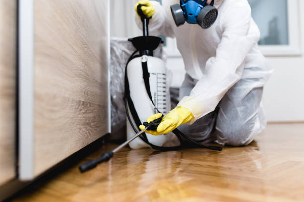 Best Pest Prevention Services  in Town And Country, MO
