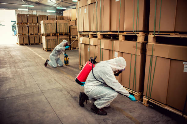 Best Pest Inspection Near Me  in Town And Country, MO