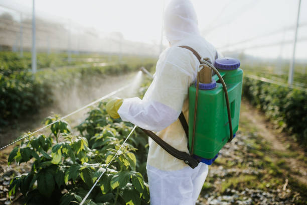 Best Wildlife Control Services  in Town And Country, MO